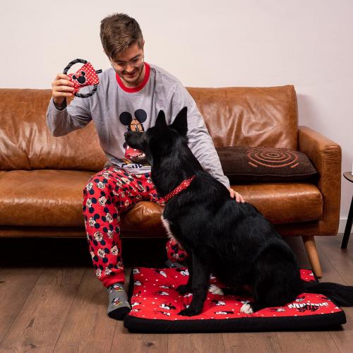 Minnie collier pour chien - visuel 4