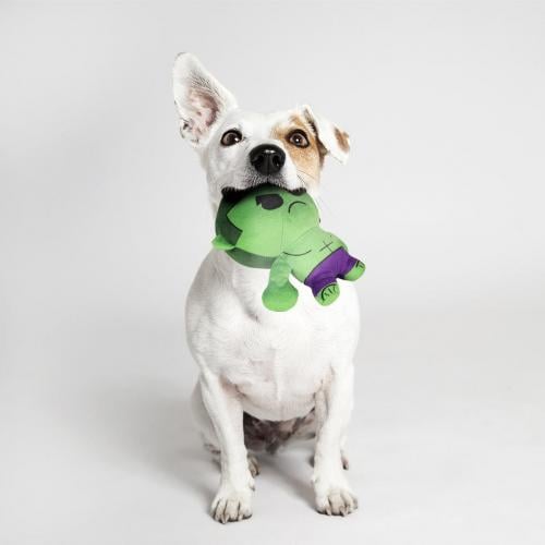 Marvel Hulk peluche pour chien - visuel 3